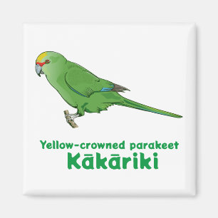 Aimant Kakariki à couronne jaune