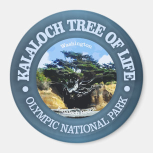 Aimant Kalaloch Tree of Life