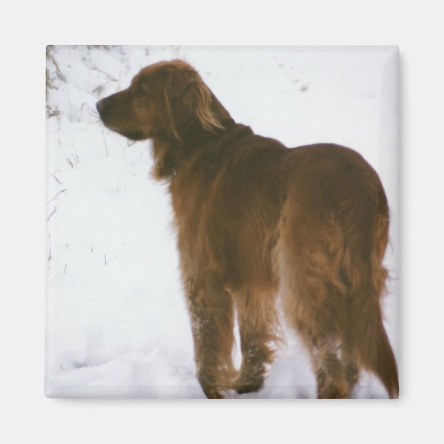 Aimant Katie Dehors (Devant)