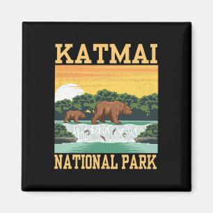 Aimant Katmai National Park Alaska Ours Randonnée Extérie