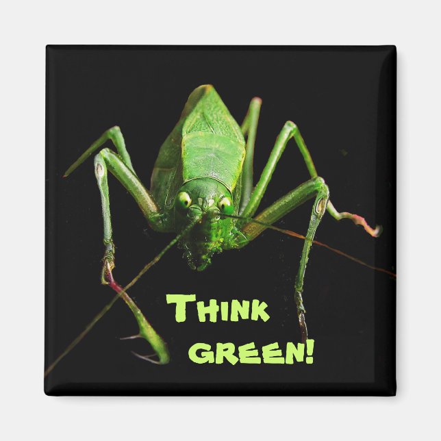Aimant Katydid Think Green (Devant)