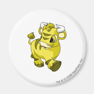 Aimant Kau jaune