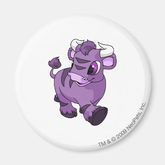 Aimant Kau Purple