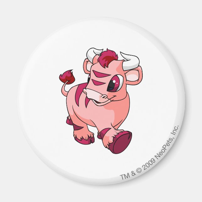 Aimant Kau rose (Devant)