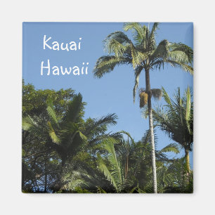Aimant Kauai Hawaï