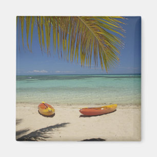Aimant Kayaks sur la plage, Plantation Island Resort