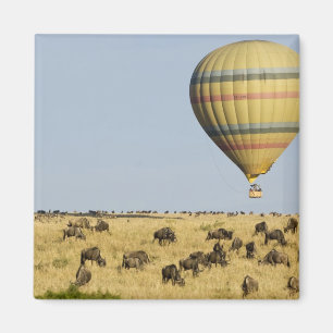 Aimant Kenya, Masai Mara. Les touristes font un tour en m