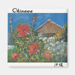 Aimant Ketmie d'aimant de peinture et Chambre Okinawan