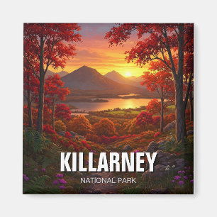 Aimant Killarney National Park Irlande Travel