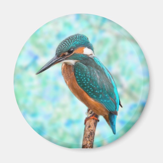 Aimant Kingfisher Bird Blue Abstrait (Devant)