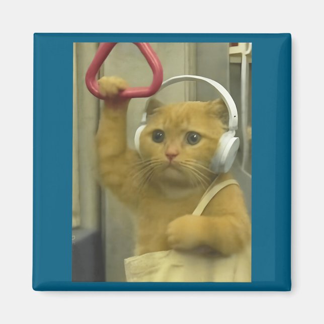 Aimant Kit drôle de chat de métro Memes cerveau étudiant  (Devant)