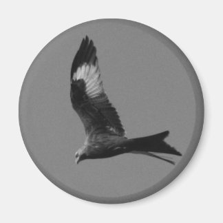 Aimant Kite rouge