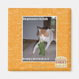 Aimant Kitteh végétarien