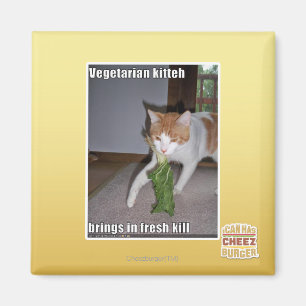 Aimant Kitteh végétarien