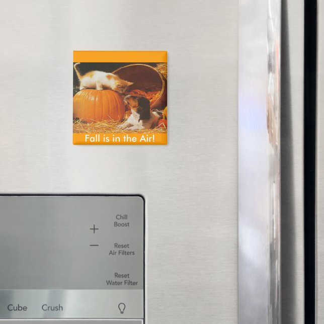 Aimant Kitten, Citrouille et chiot (In situ (réfrigérateur))