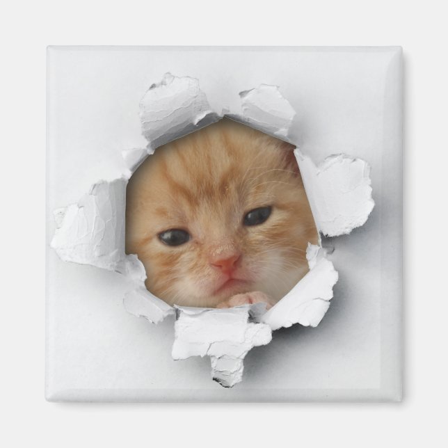 Aimant Kitty (Devant)