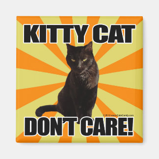 Aimant Kitty Cat ne s'en soucie pas