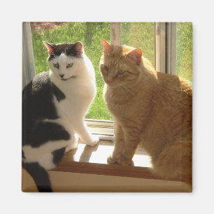 Aimant Kitty Chat Love