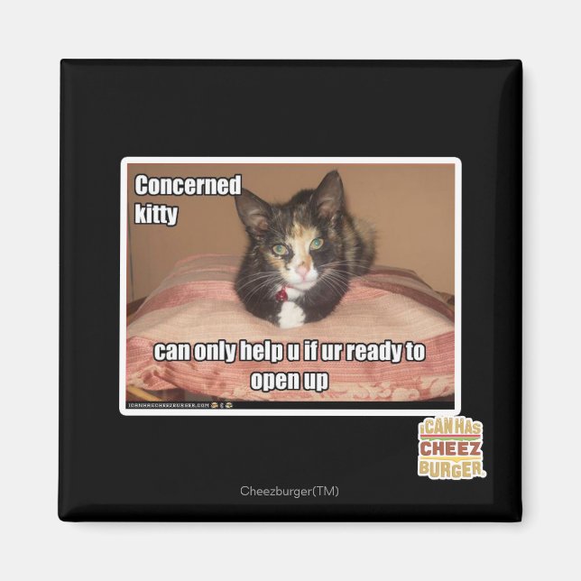 Aimant Kitty Concerné (Devant)