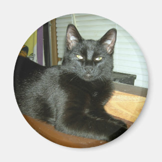 Aimant Kitty impérial