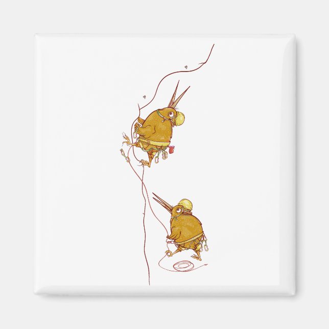 Aimant Kiwi NZ BIRDS ROCK ESCALADE (Devant)