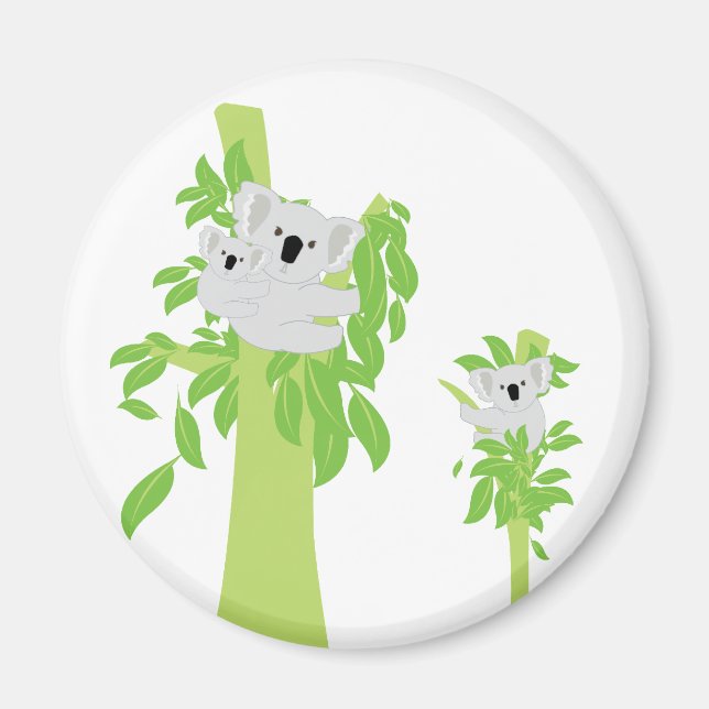 Aimant Koala Bear (Devant)