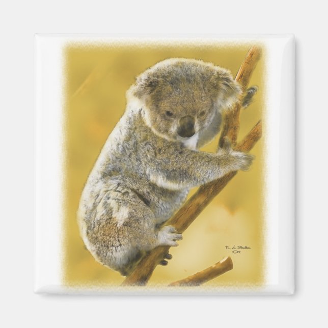 Aimant Koala Bear (Devant)