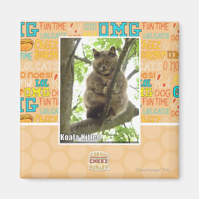 Aimant Koala Kitteh (Devant)