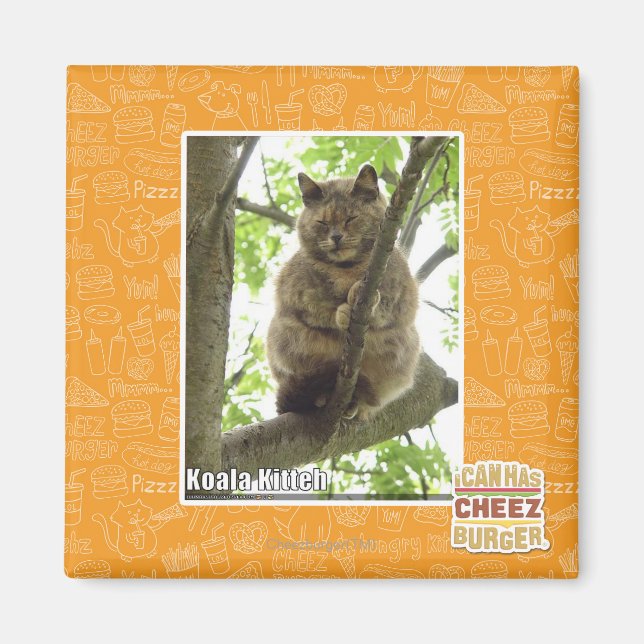 Aimant Koala Kitteh (Devant)
