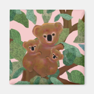 Aimant Koalas dans les Eucalyptus