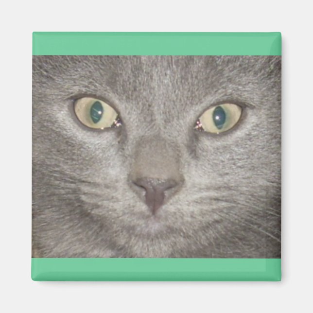 Aimant Kohl Grey Kitty Face (Devant)