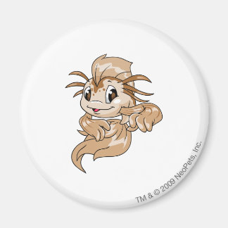 Aimant Koi Brown