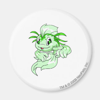 Aimant Koi Green