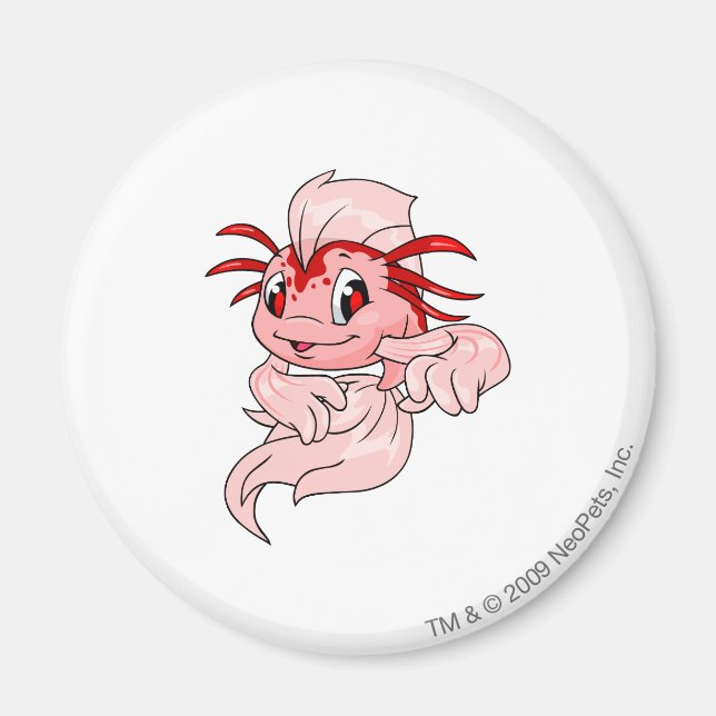 Aimant Koi Red (Devant)