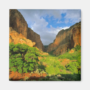 Aimant Kolob Canyon à Zion Canyon dans Zion National