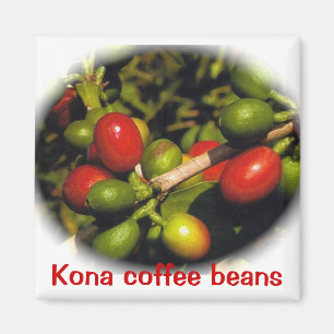 Aimant Kona Coffee Beans