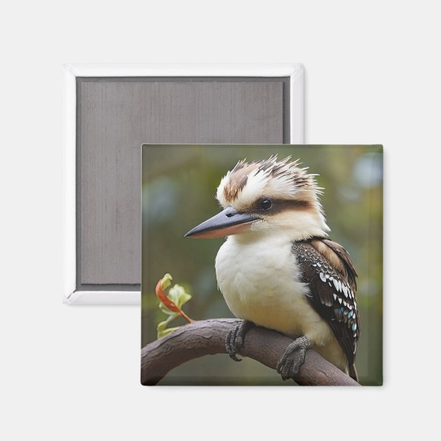 Aimant Kookaburra (Recto/Verso)