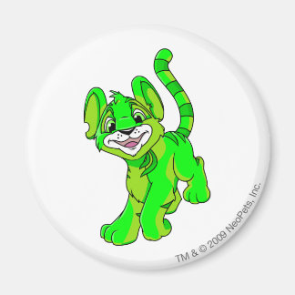 Aimant Kougra