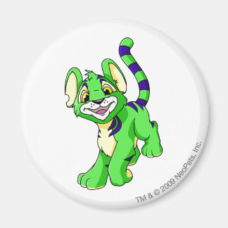 Aimant Kougra Green