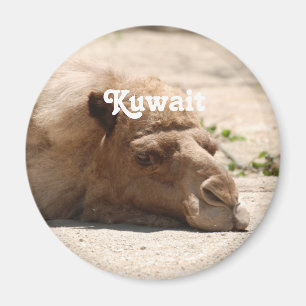 Aimant Koweït Camel