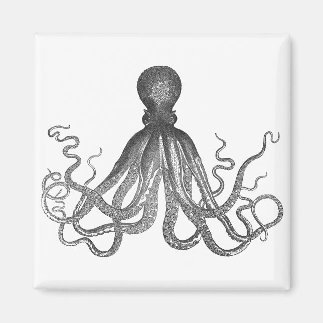 Aimant Kraken - Octopus géant noir / Cthulu (Devant)