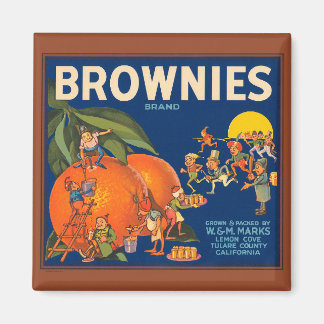 Aimant KRW Vintage Brownies Orange Fruit Crate Étiquette