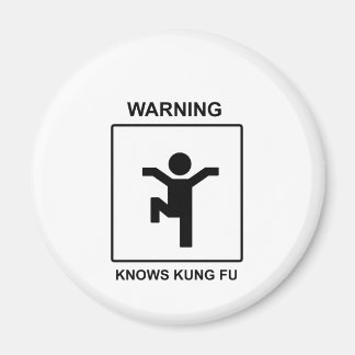 Aimant Kung Fu