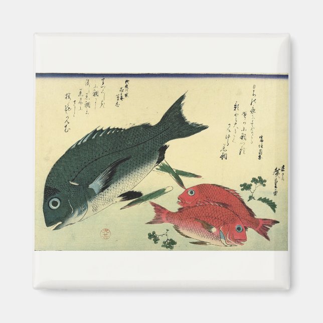 Aimant Kurodai & Akadai - Impression de poisson japonais  (Devant)