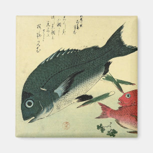 Aimant Kurodai & Akadai - Impression de poisson japonais