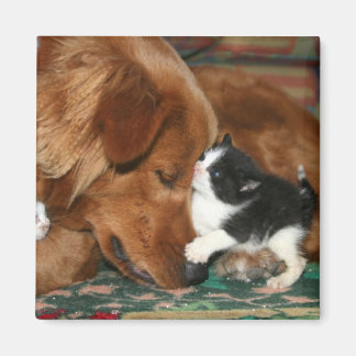 Aimant La baby-sitter