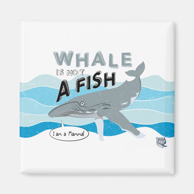 Aimant La baleine n'est pas un poisson (Devant)