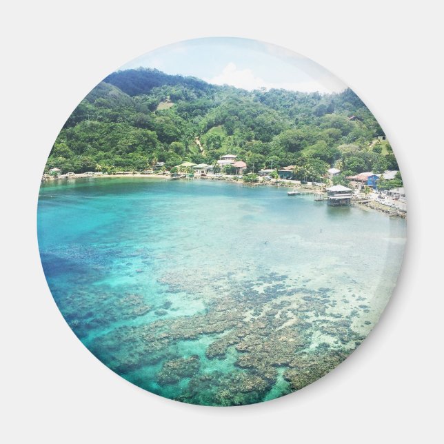 Aimant La barrière de corail de Grand Cayman (Devant)