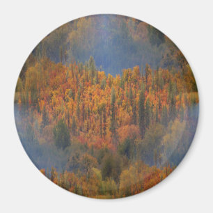 Aimant La beauté à l'automne..