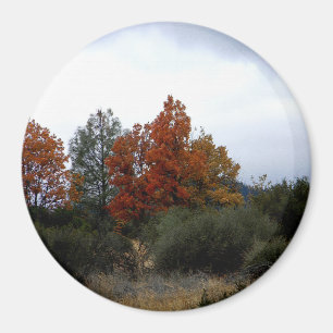 Aimant La beauté automnale....